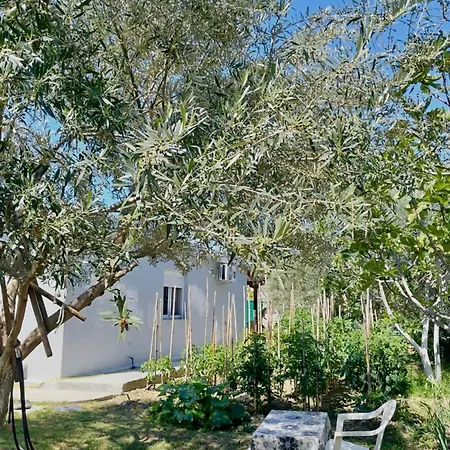 Ylli&njeza Ferienhaus