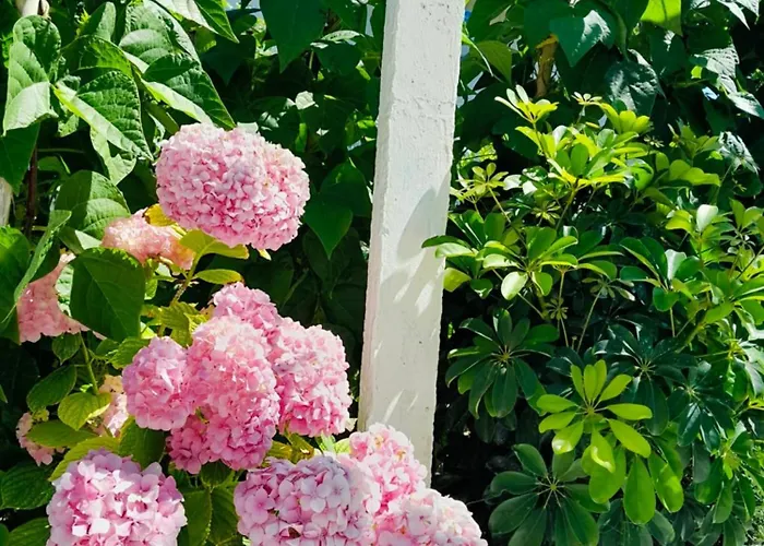 Nyaraló Ylli&njeza *